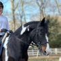 Mayzie Testimonial - Horse at Silver Lining Stables